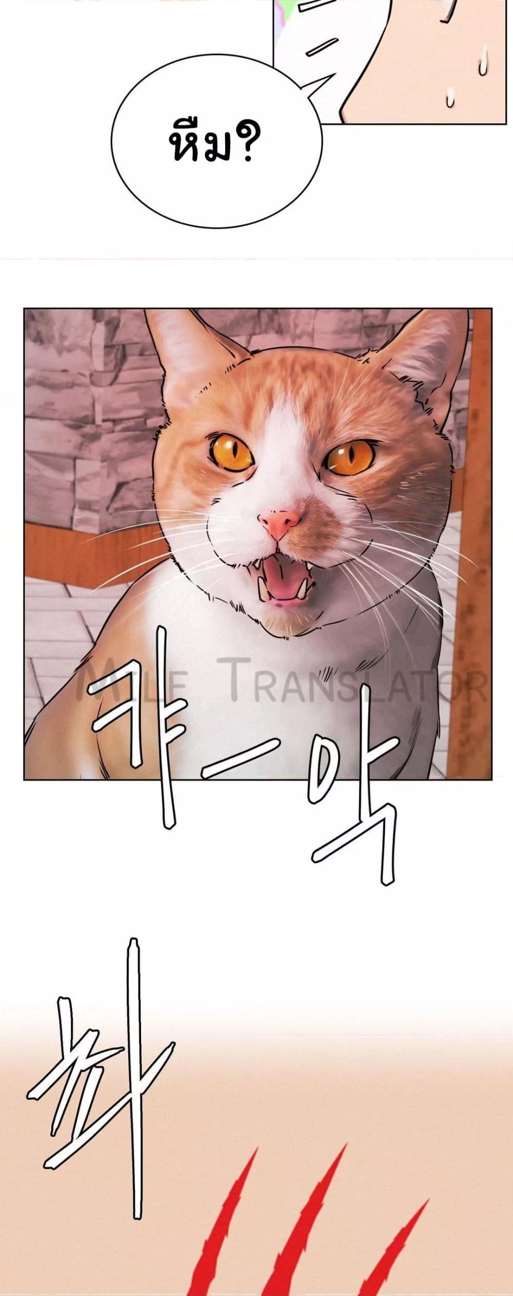 อ่านการ์ตูน Staying with Ajumma 71 ภาพที่ 57