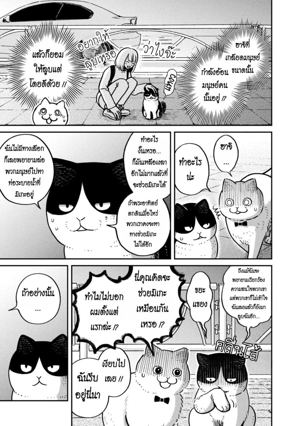 อ่านการ์ตูน Tsureneko Maruru to Hachi 6 ภาพที่ 11