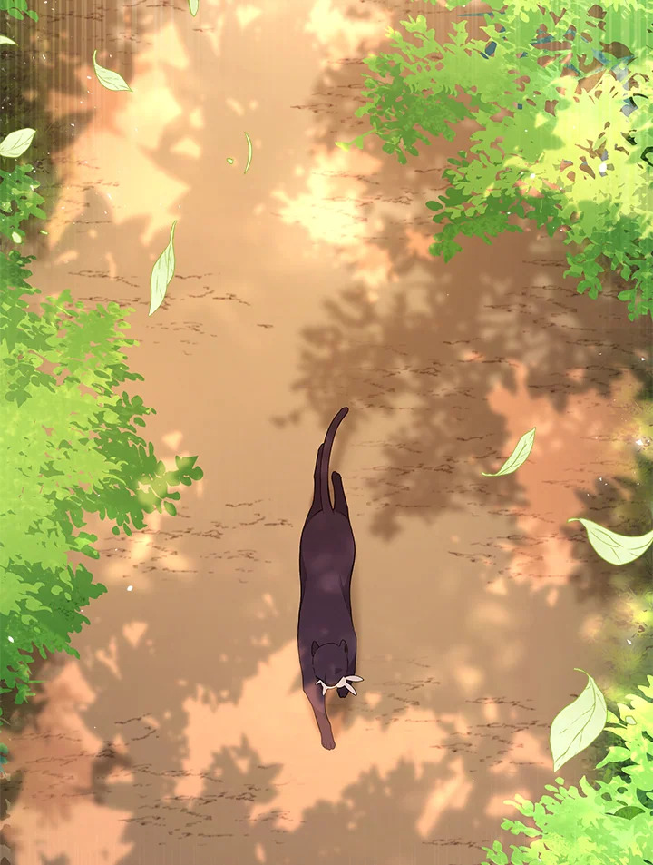 อ่านการ์ตูน The Symbiotic Relationship Between a Panther and a Rabbit 28 ภาพที่ 8