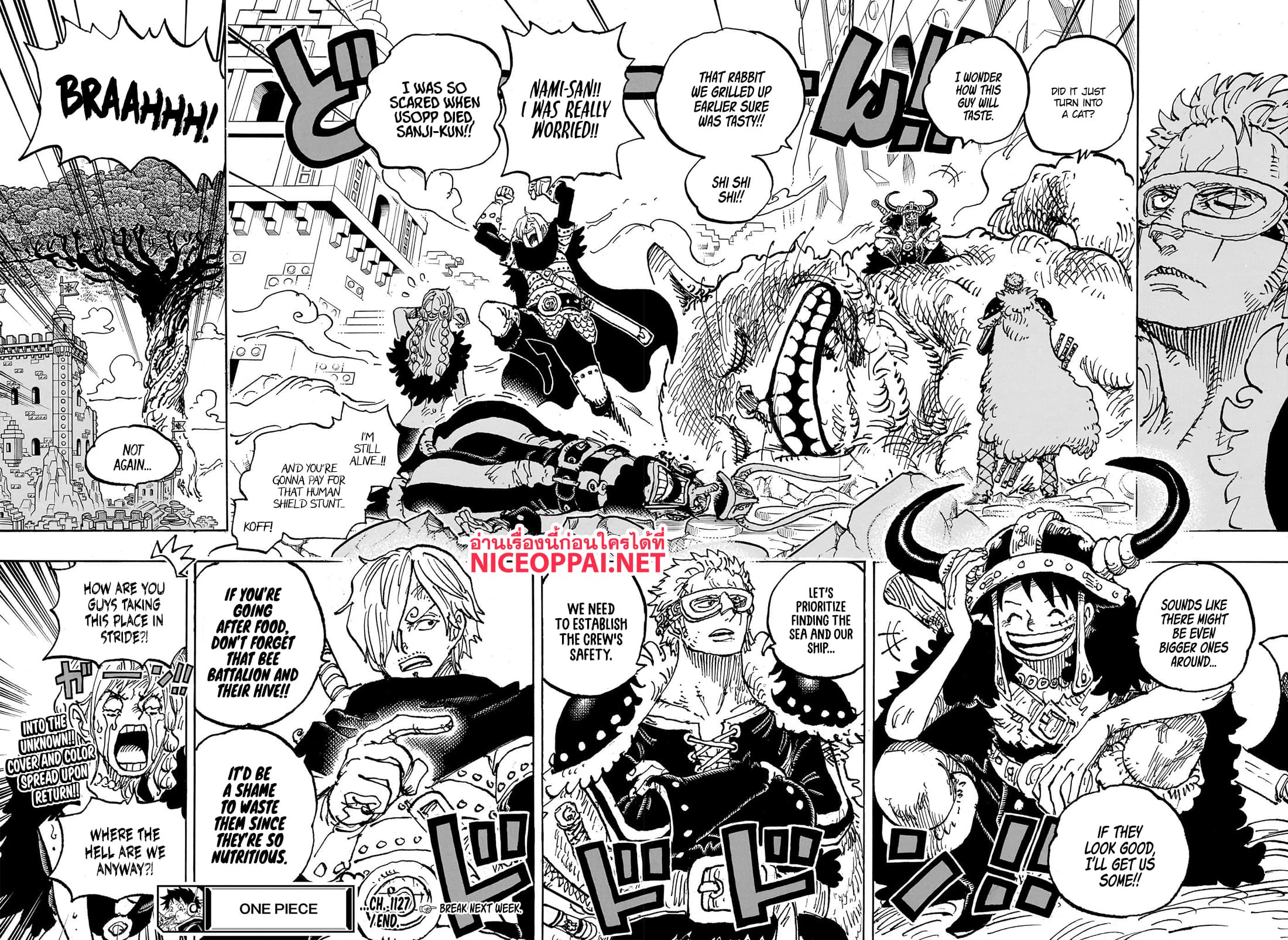 อ่านการ์ตูน One Piece 1127 (ENG) ภาพที่ 13