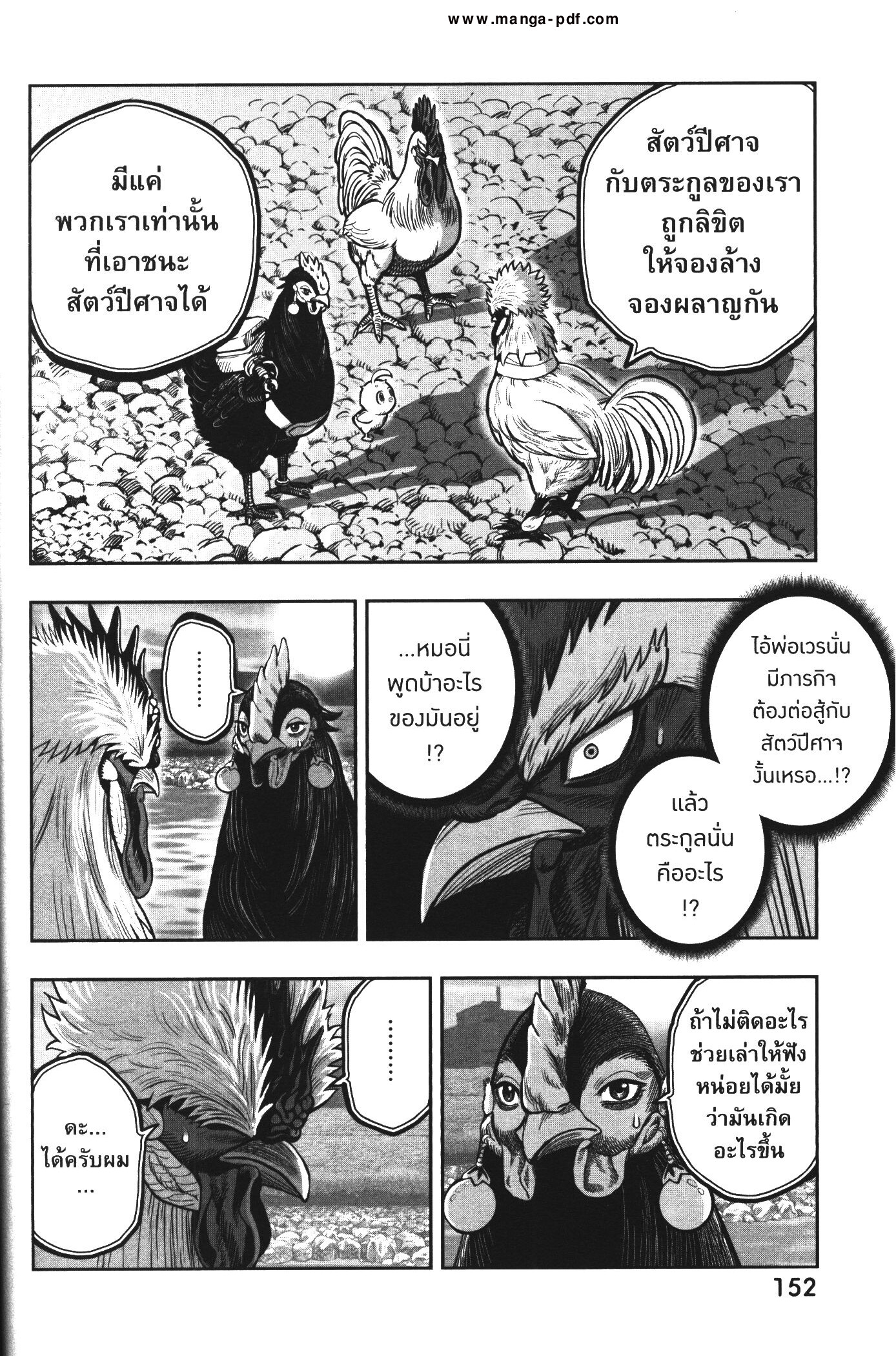 อ่านการ์ตูน Rooster Fighter 20 ภาพที่ 15