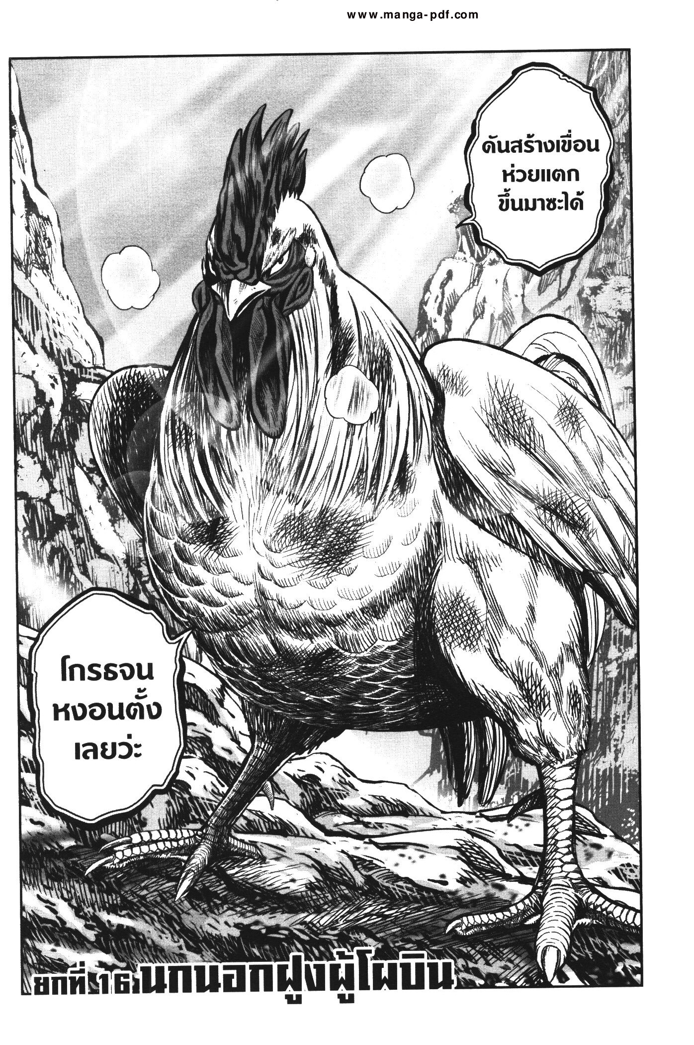 อ่านการ์ตูน Rooster Fighter 16 ภาพที่ 3