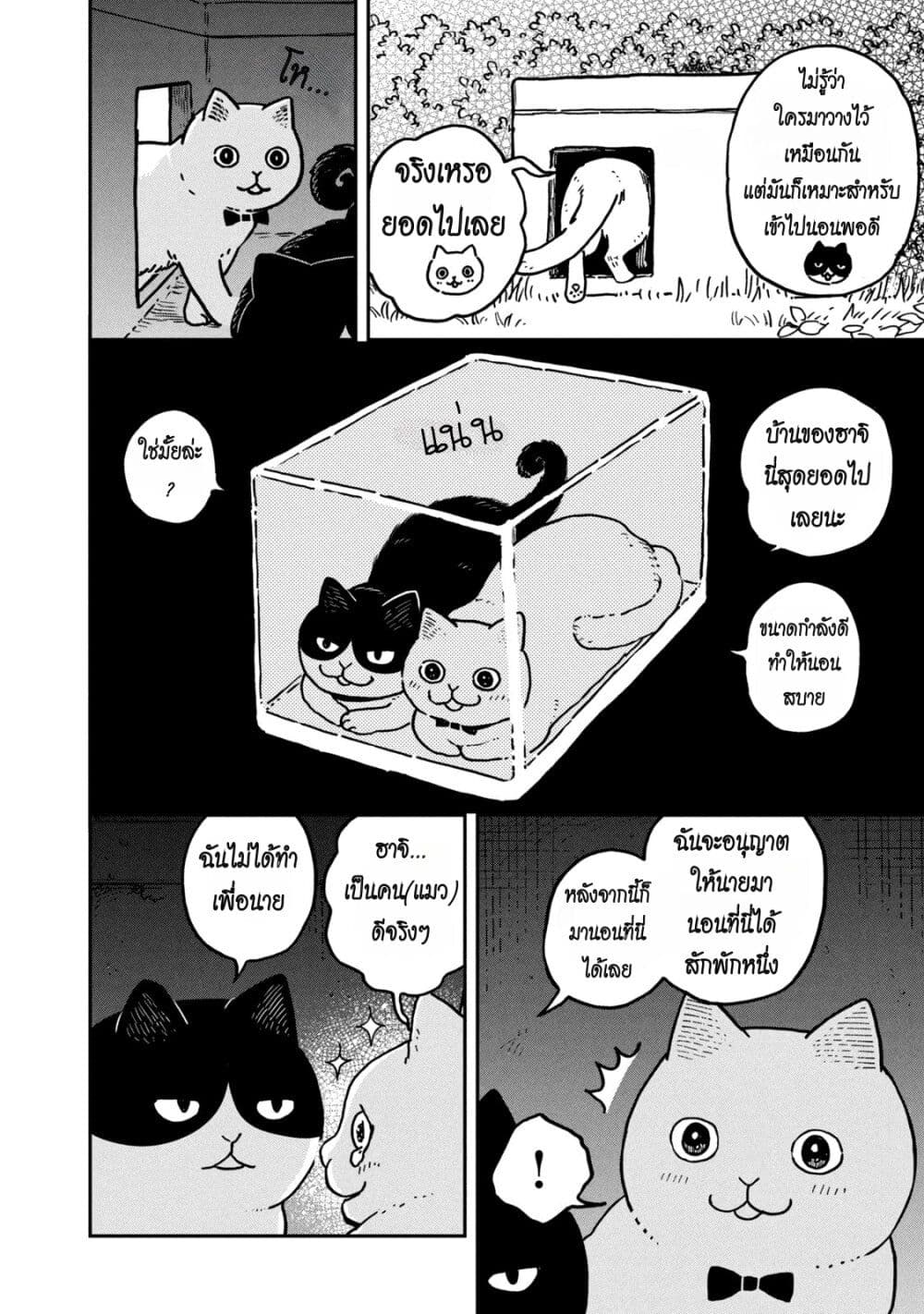 อ่านการ์ตูน Tsureneko Maruru to Hachi 3 ภาพที่ 2