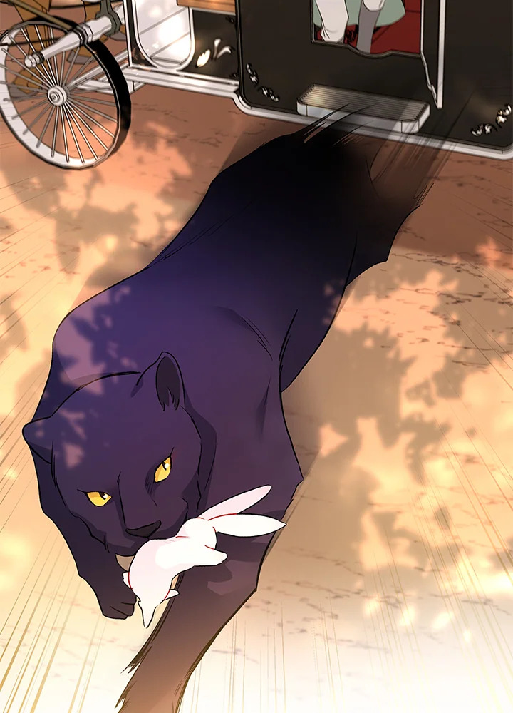 อ่านการ์ตูน The Symbiotic Relationship Between a Panther and a Rabbit 29 ภาพที่ 60