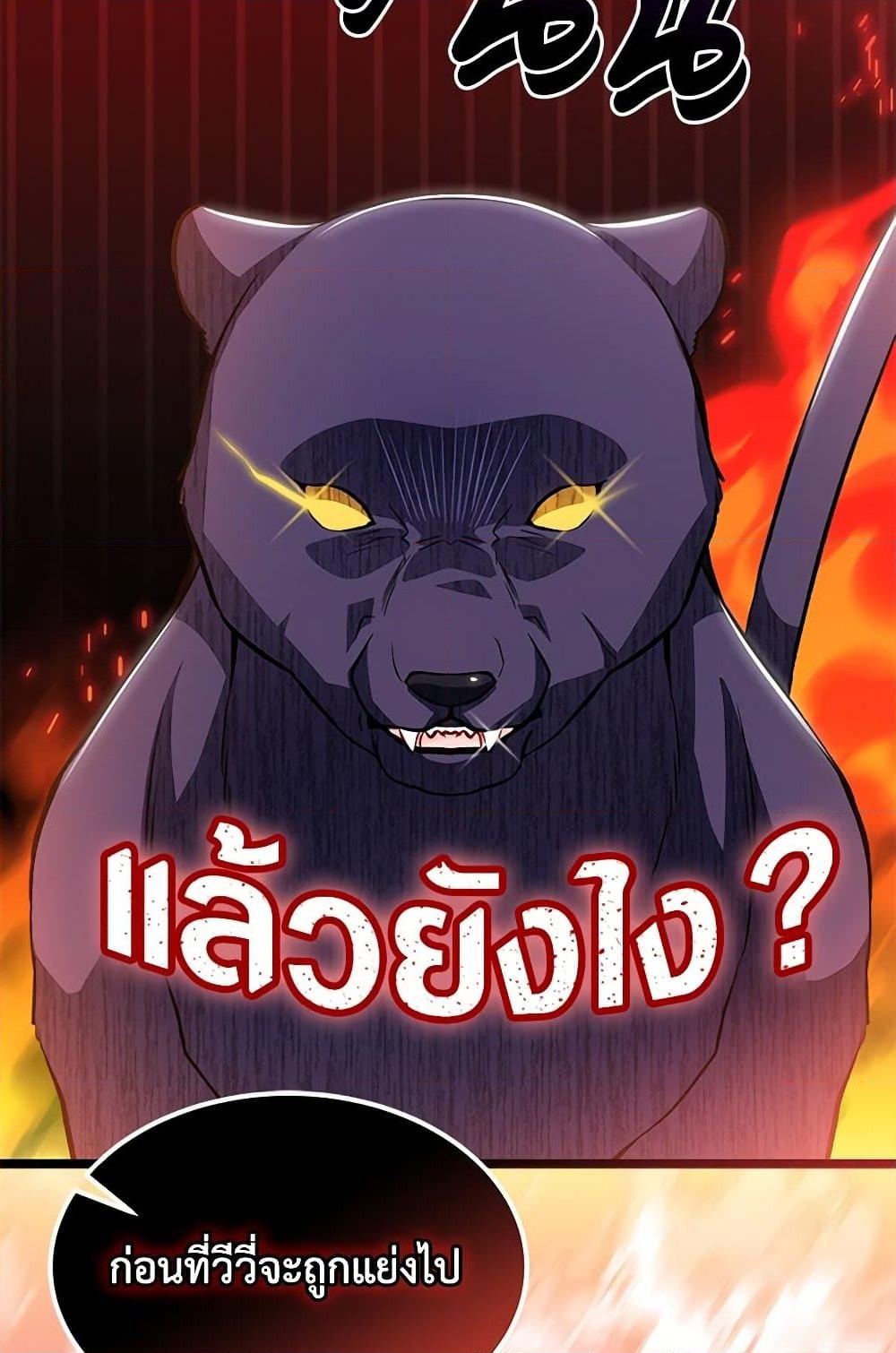 อ่านการ์ตูน The Symbiotic Relationship Between a Panther and a Rabbit 146 ภาพที่ 58