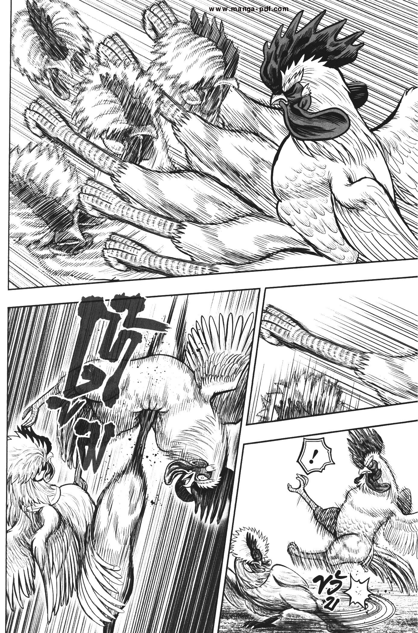 อ่านการ์ตูน Rooster Fighter 19 ภาพที่ 33