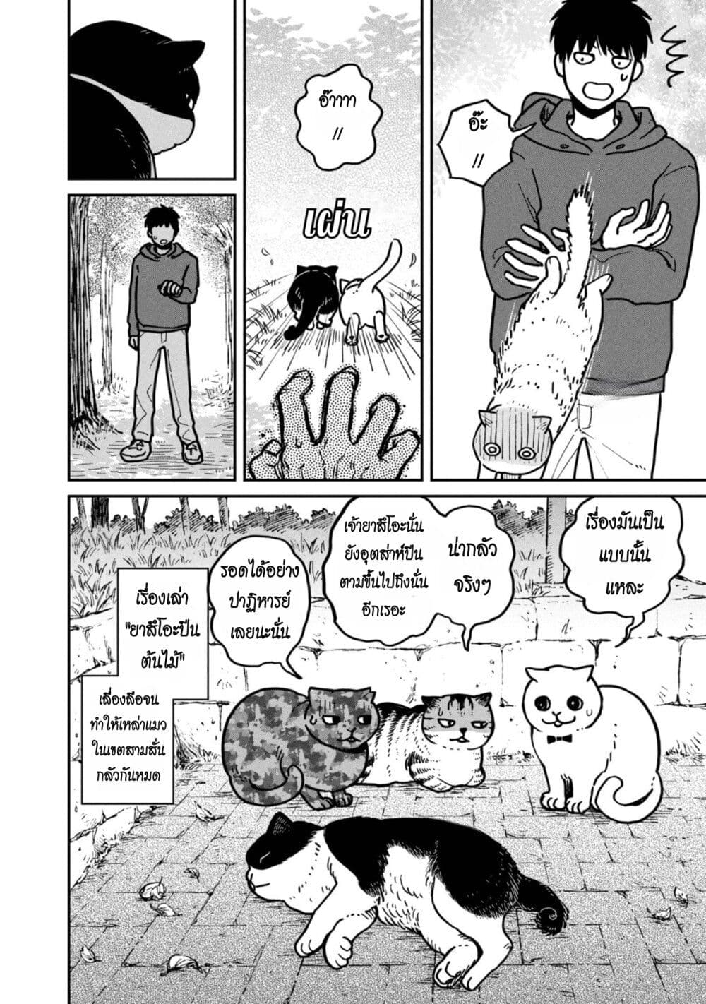 อ่านการ์ตูน Tsureneko Maruru to Hachi 3 ภาพที่ 18