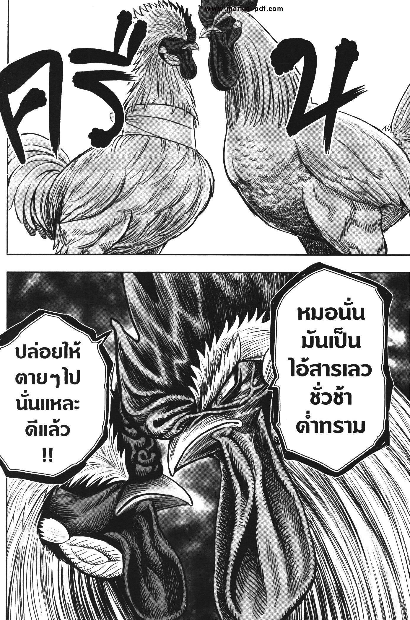 อ่านการ์ตูน Rooster Fighter 19 ภาพที่ 27