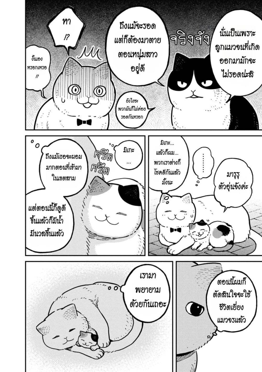 อ่านการ์ตูน Tsureneko Maruru to Hachi 6 ภาพที่ 4