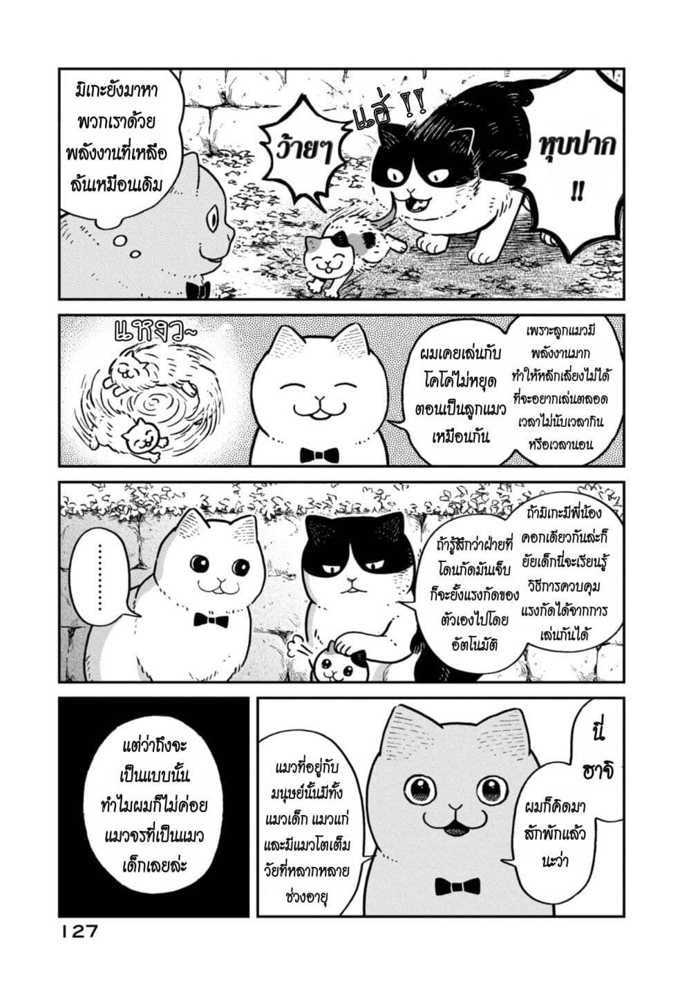 อ่านการ์ตูน Tsureneko Maruru to Hachi 6 ภาพที่ 3