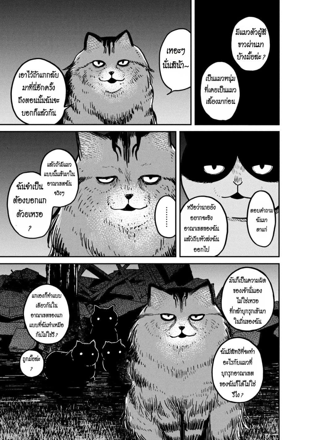 อ่านการ์ตูน Tsureneko Maruru to Hachi 3 ภาพที่ 9