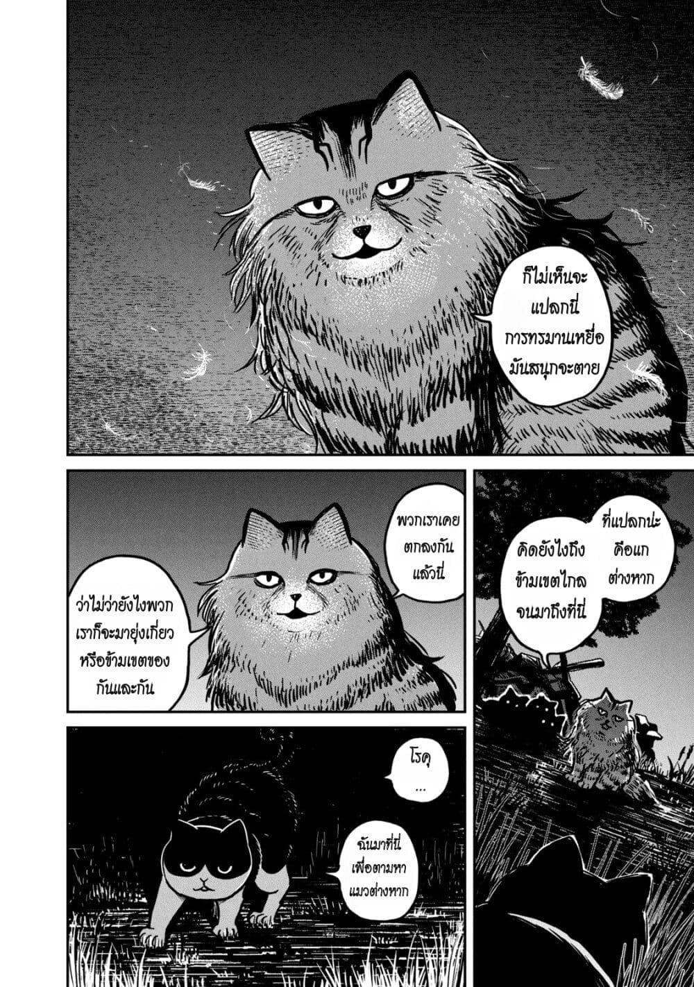 อ่านการ์ตูน Tsureneko Maruru to Hachi 3 ภาพที่ 8