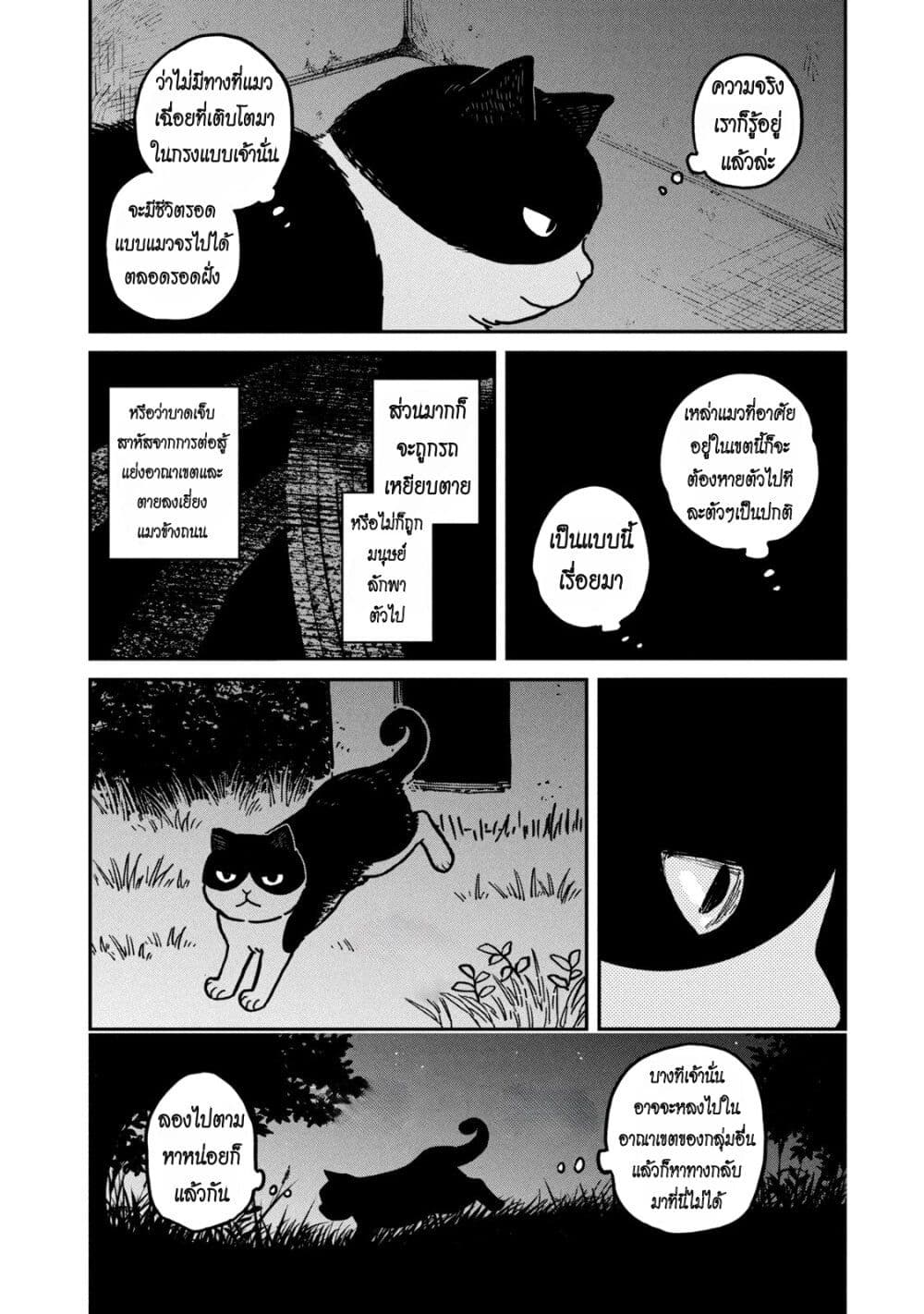 อ่านการ์ตูน Tsureneko Maruru to Hachi 3 ภาพที่ 6