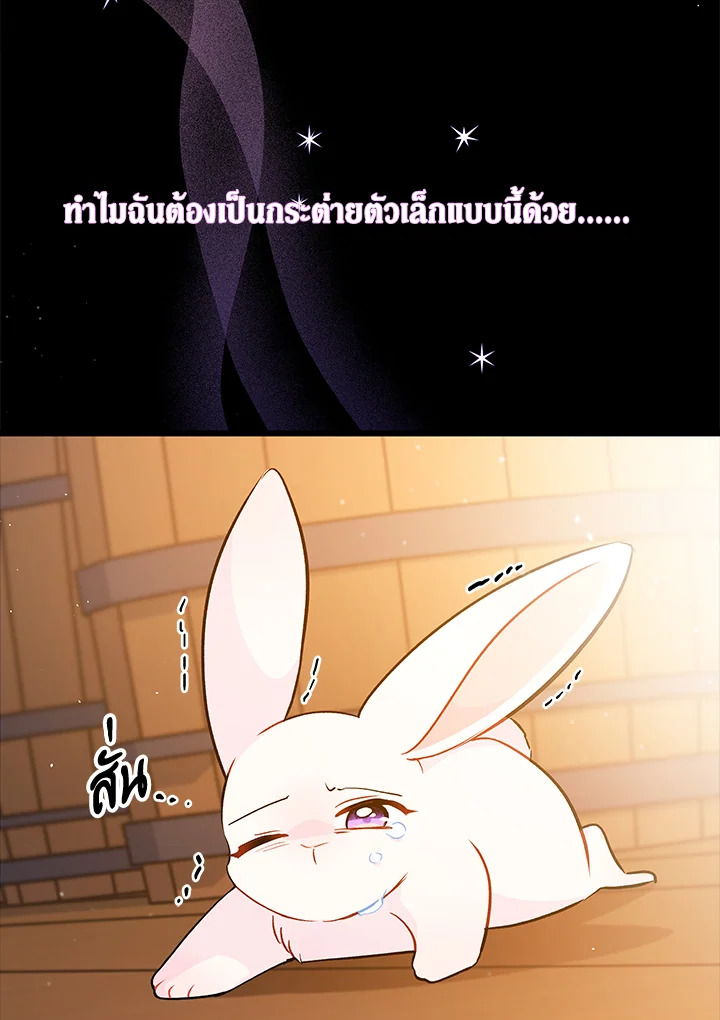 อ่านการ์ตูน The Symbiotic Relationship Between a Panther and a Rabbit 28 ภาพที่ 85