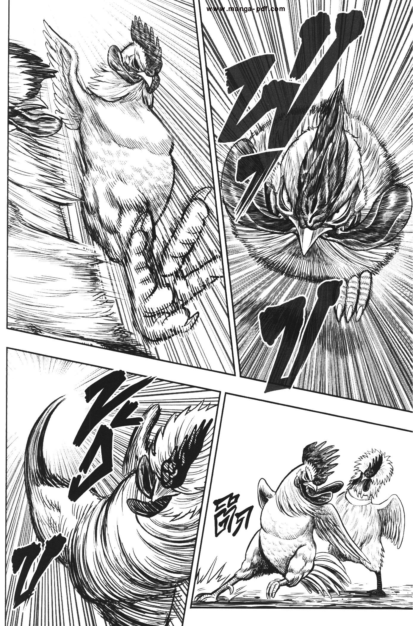 อ่านการ์ตูน Rooster Fighter 19 ภาพที่ 29