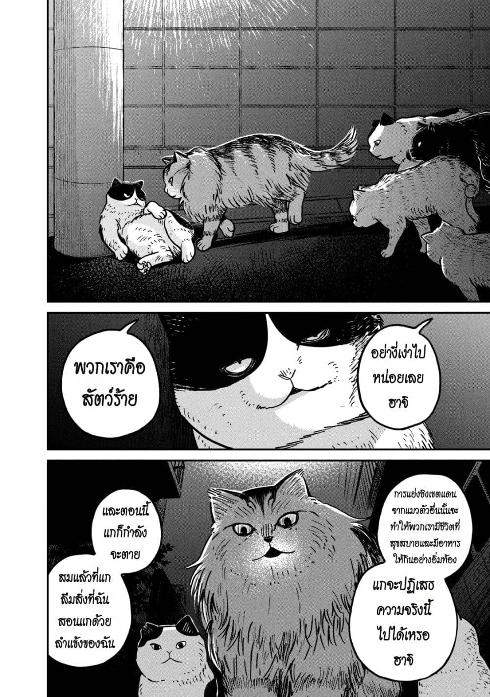 อ่านการ์ตูน Tsureneko Maruru to Hachi 5 ภาพที่ 4