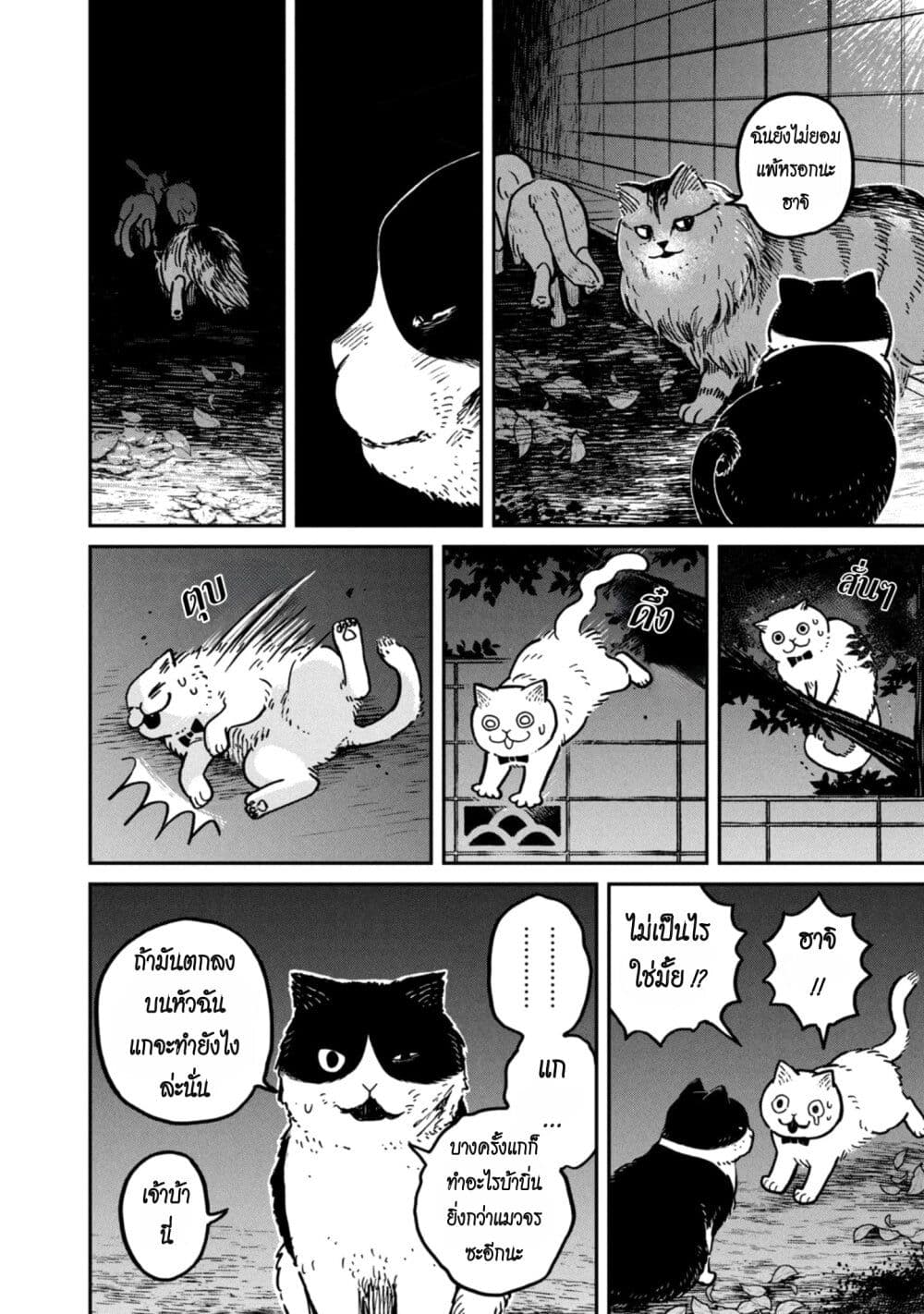 อ่านการ์ตูน Tsureneko Maruru to Hachi 5 ภาพที่ 8