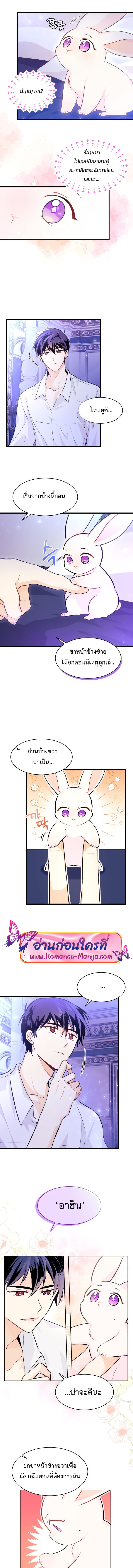 อ่านการ์ตูน The Symbiotic Relationship Between a Panther and a Rabbit 16 ภาพที่ 3