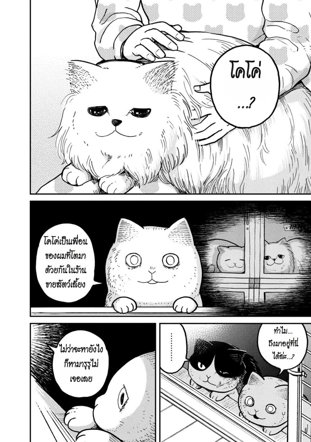 อ่านการ์ตูน Tsureneko Maruru to Hachi 5 ภาพที่ 12