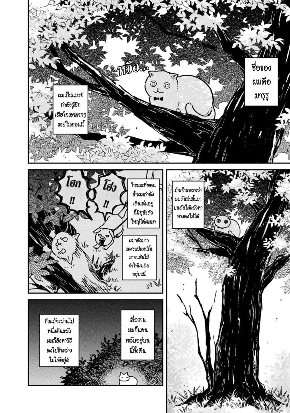 อ่านการ์ตูน Tsureneko Maruru to Hachi 3 ภาพที่ 12