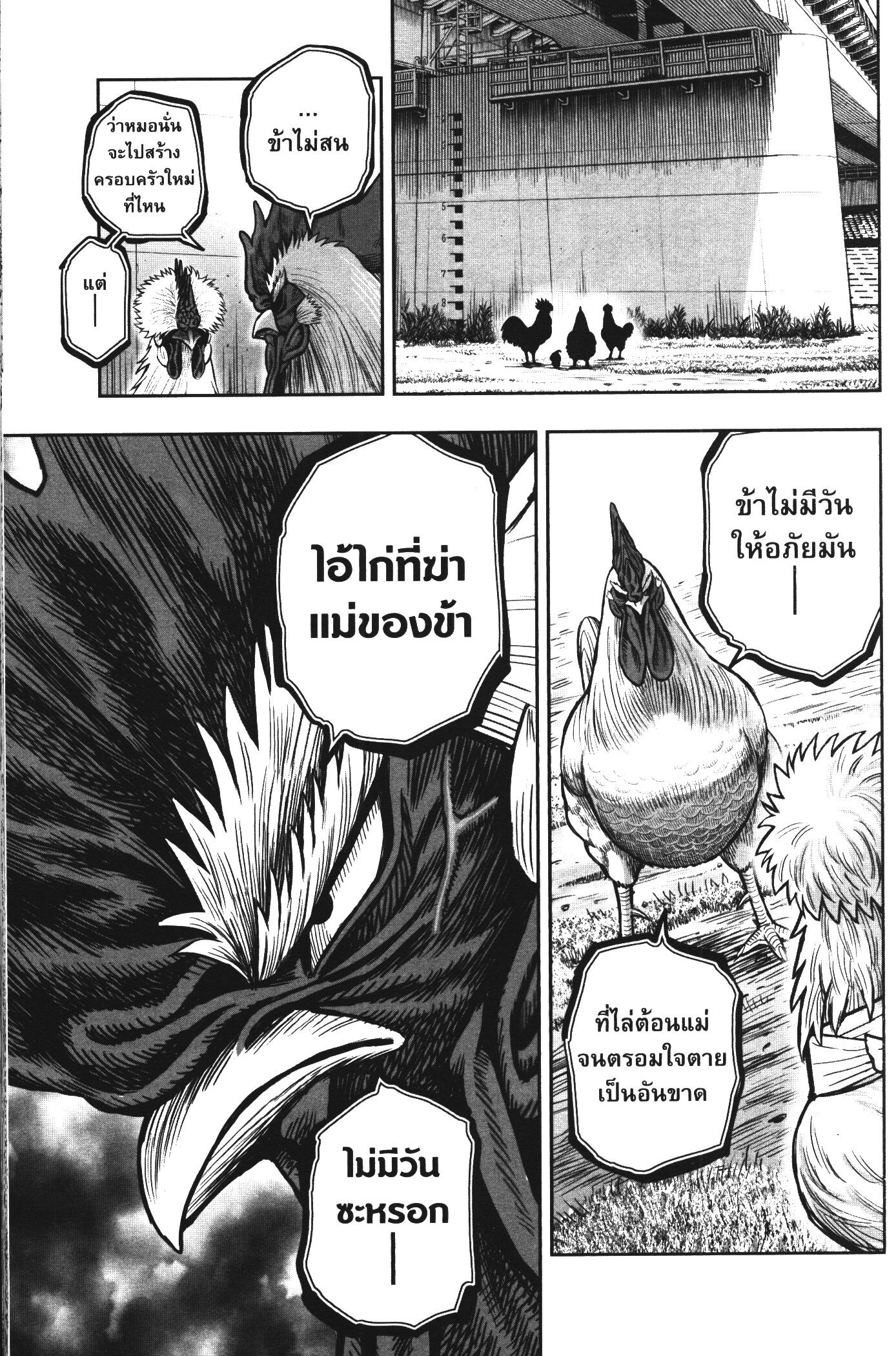 อ่านการ์ตูน Rooster Fighter 19 ภาพที่ 24