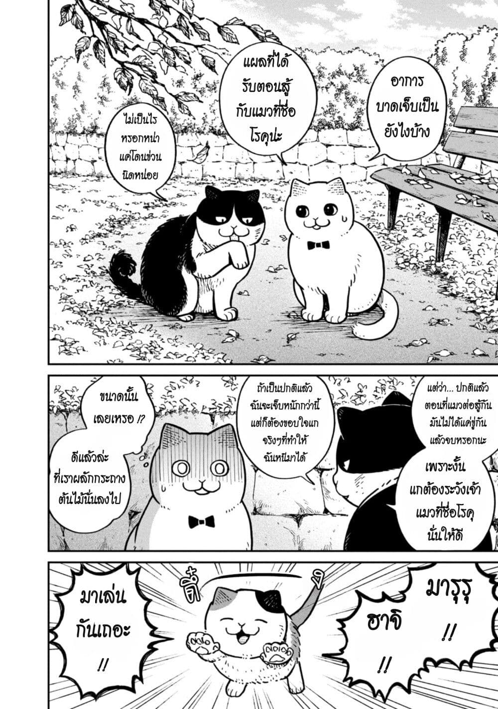 อ่านการ์ตูน Tsureneko Maruru to Hachi 6 ภาพที่ 2