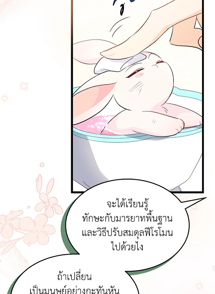 อ่านการ์ตูน The Symbiotic Relationship Between a Panther and a Rabbit 84 ภาพที่ 9