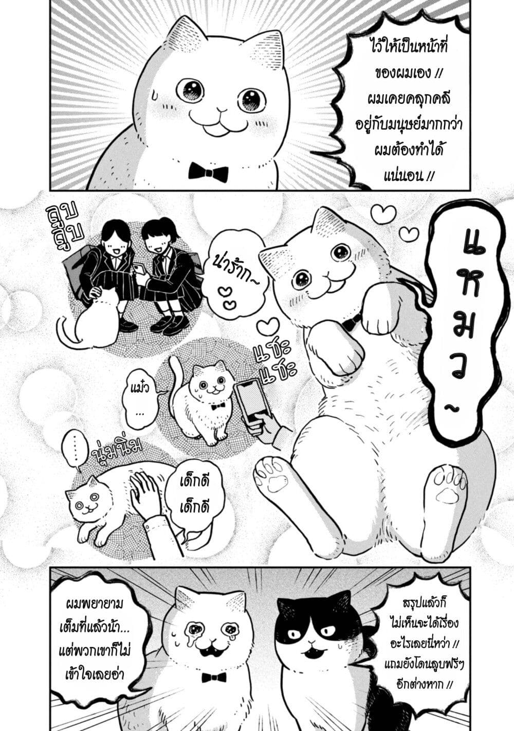 อ่านการ์ตูน Tsureneko Maruru to Hachi 6 ภาพที่ 12