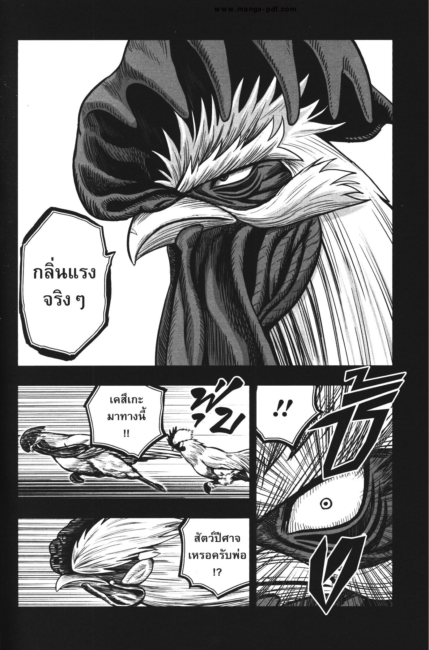 อ่านการ์ตูน Rooster Fighter 20 ภาพที่ 17