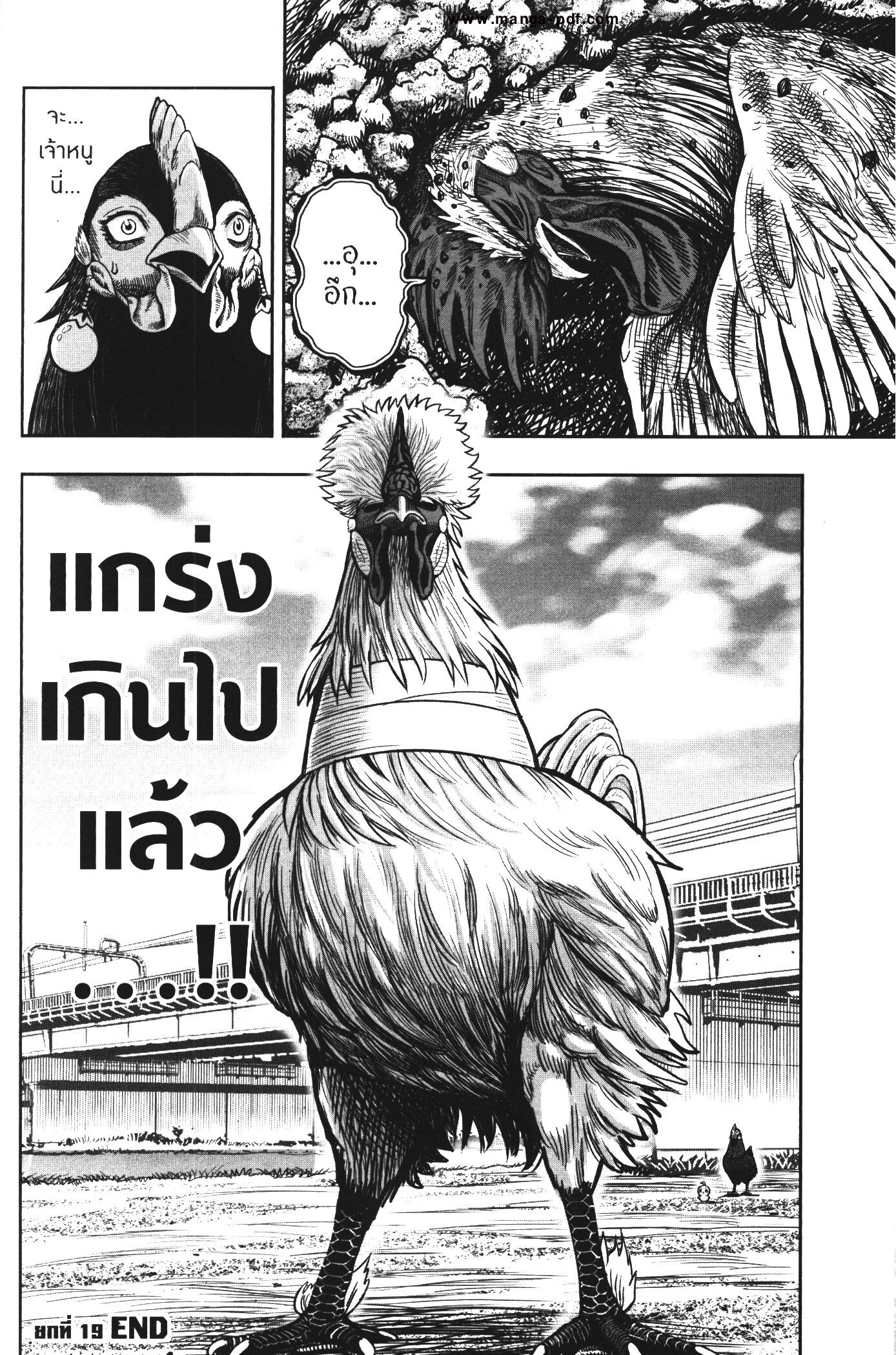 อ่านการ์ตูน Rooster Fighter 19 ภาพที่ 41